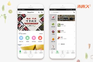 成都app定制开发 o2o电商商城 生鲜水果鲜花社区超市